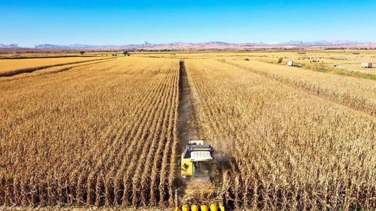Çiftçilere tarımsal destekleme ödemesi yapılacak!