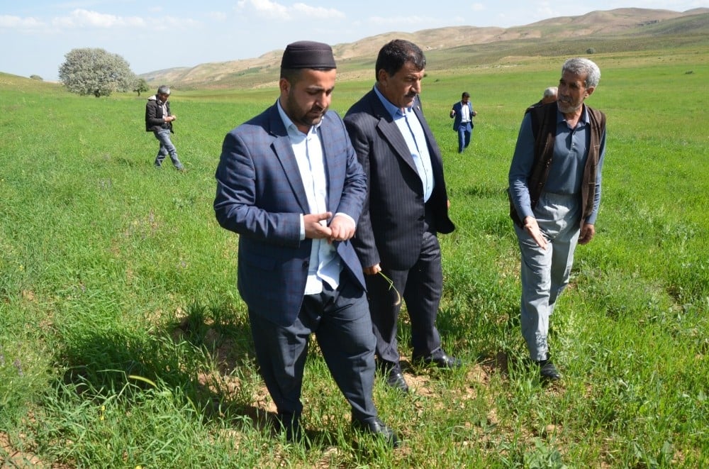 Çiftçilerin hibe destekli tohumdan beklentisi yüksek 