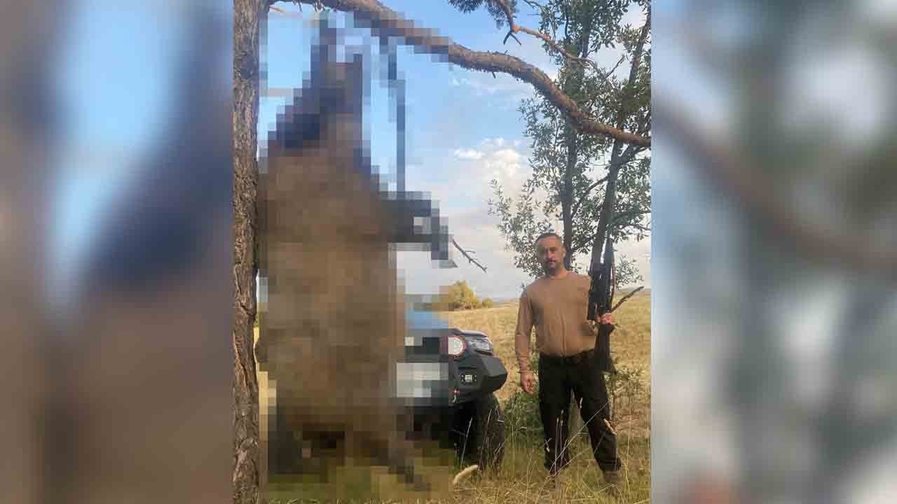 Çiftçilerin kabusuydu: 410 kiloluk dev domuz öldürüldü
