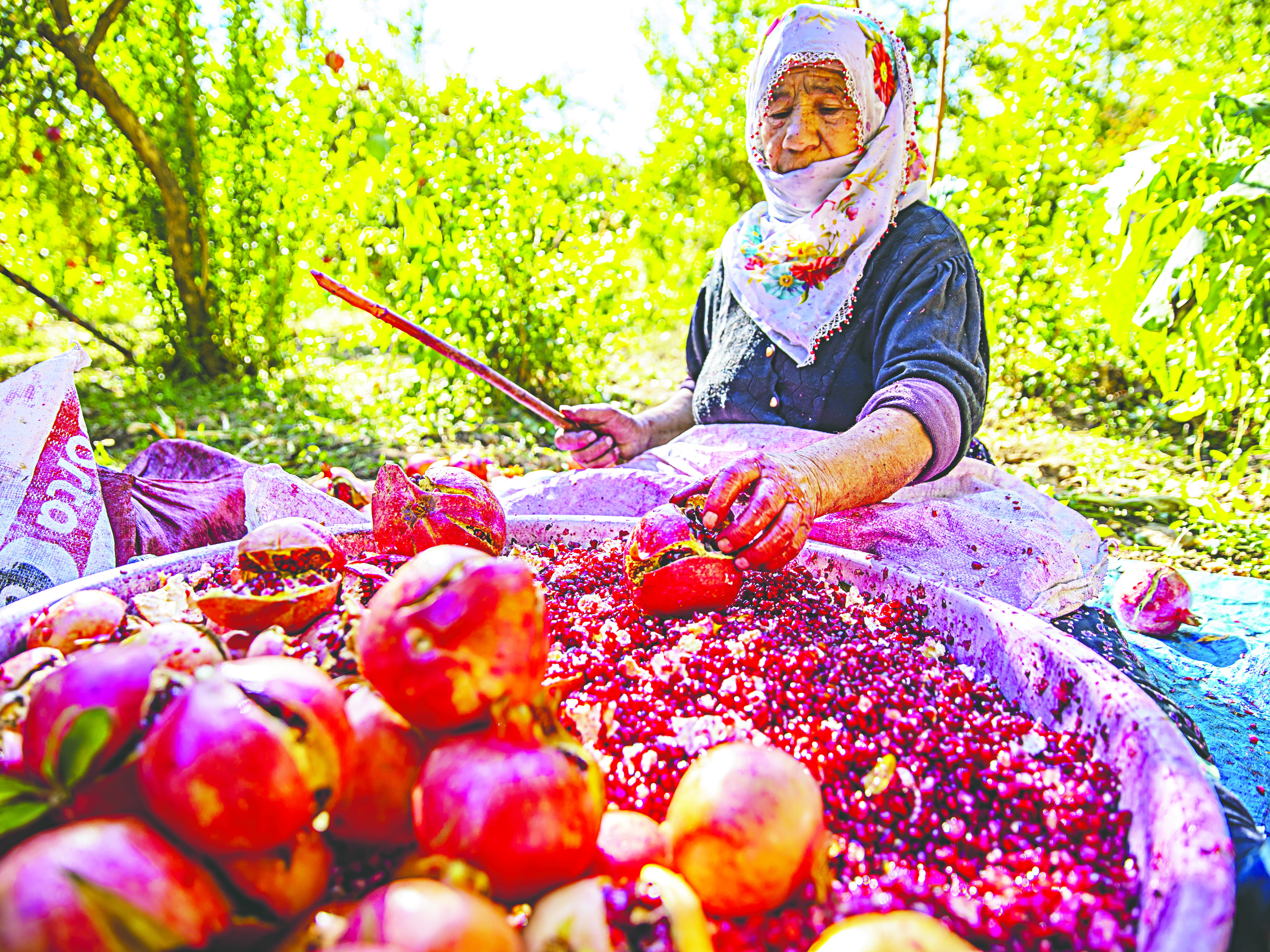 Çiftçimiz mutlu olursa Türkiye mutlu olur