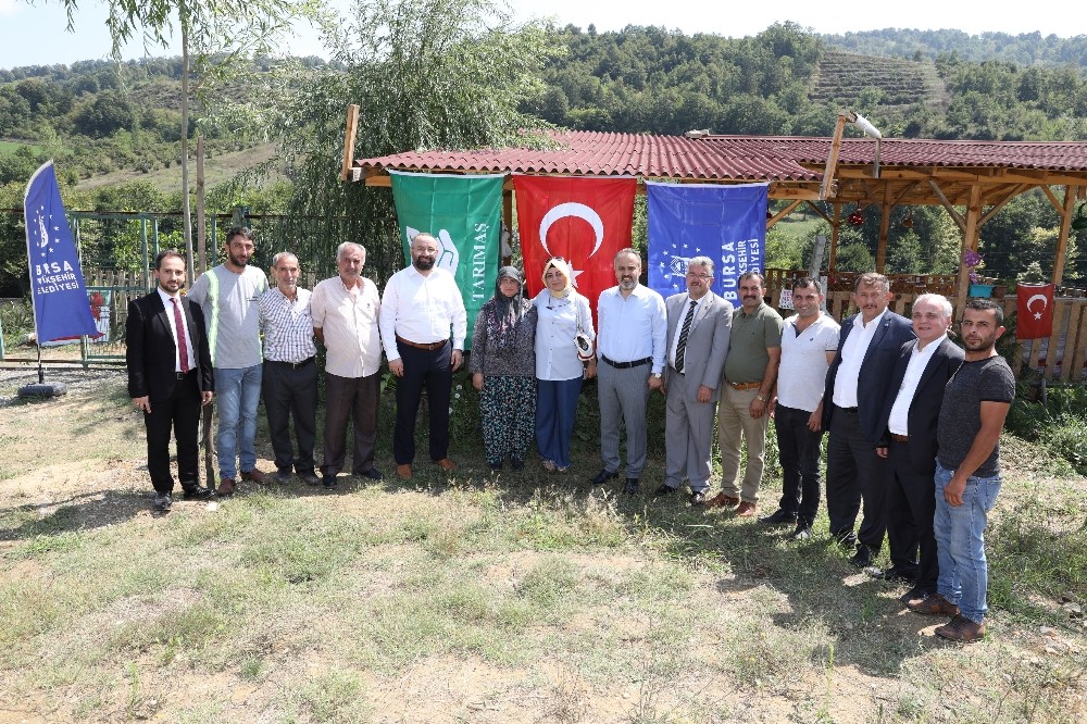 Çiftçinin alın teri dövize dönüşüyor 