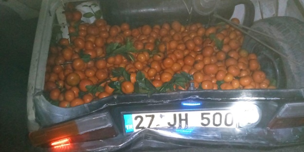 Çiftçinin alın terine göz diktiler! Narenciye hırsızları suçüstü olunca...