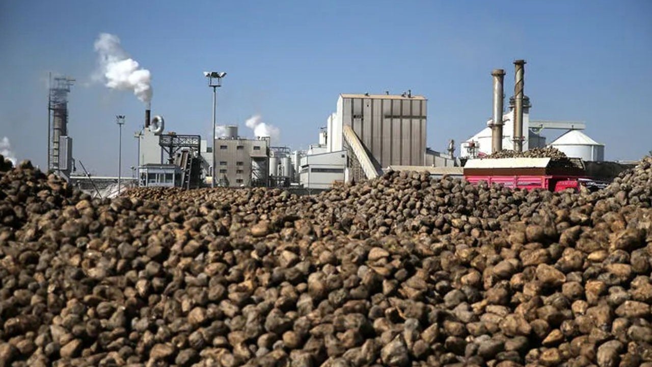 Çiftçiye 664 milyon liralık destek! Konya Şeker avans ödemelerine başlıyor