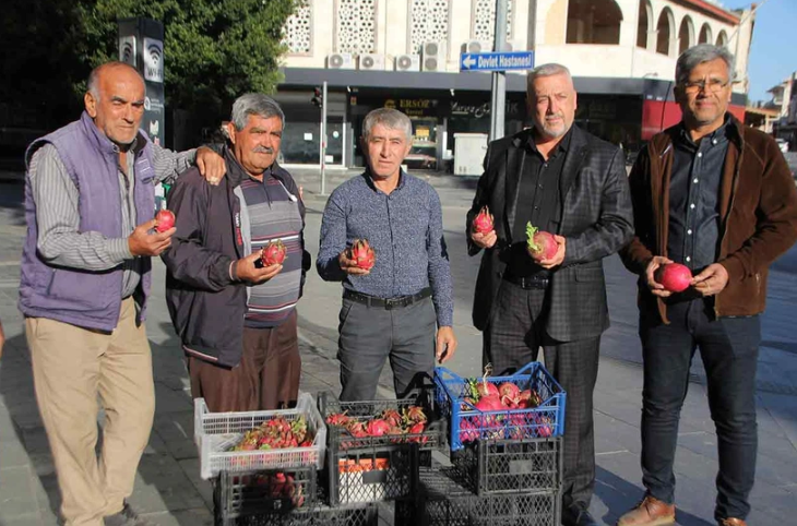 Çiftçiye bak sen! Trump kazanınca turp dağıttı