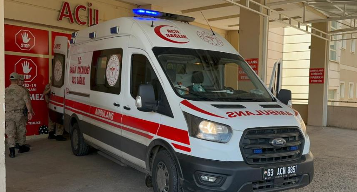 Çiftçiye domuz saldırısı