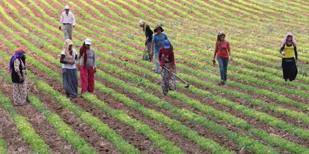 Çiftçiye mazot gübre ilaç desteği MHP’den üreticiler için kanun teklifi