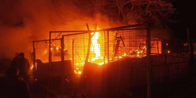 Çiftlik alev alev yandı! Hayvanlar son anda kurtarıldı