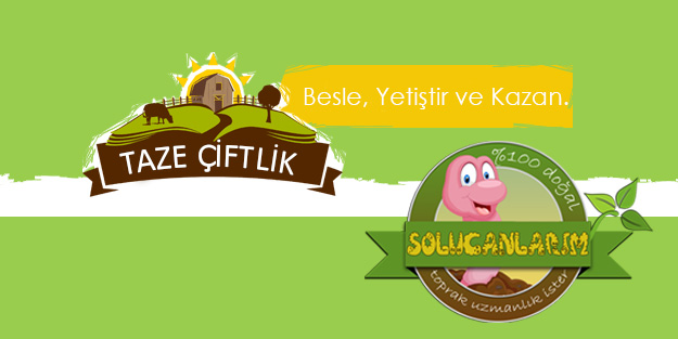 Çiftlik Bank benzeri siteler vurguna devam ediyor!