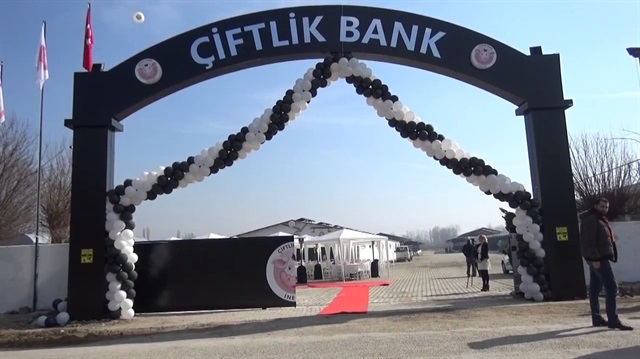 Çiftlik Bank’ın tavukları satışa çıktı