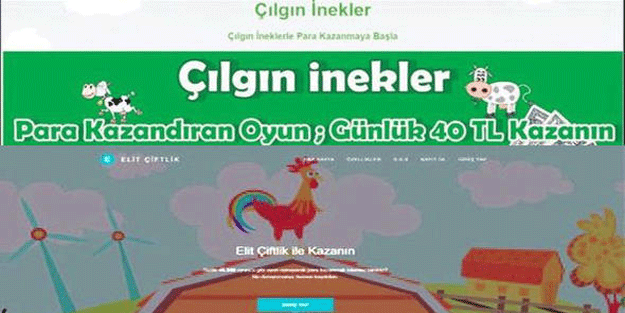 Çiftlikbank yavruladı! Çılgın inekler, bizim tavuklar...