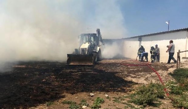 Çiftlikteki yangında çok sayıda küçükbaş telef oldu