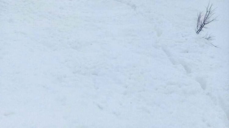 Çığ felaketinde iki kişinin cesedine ulaşıldı