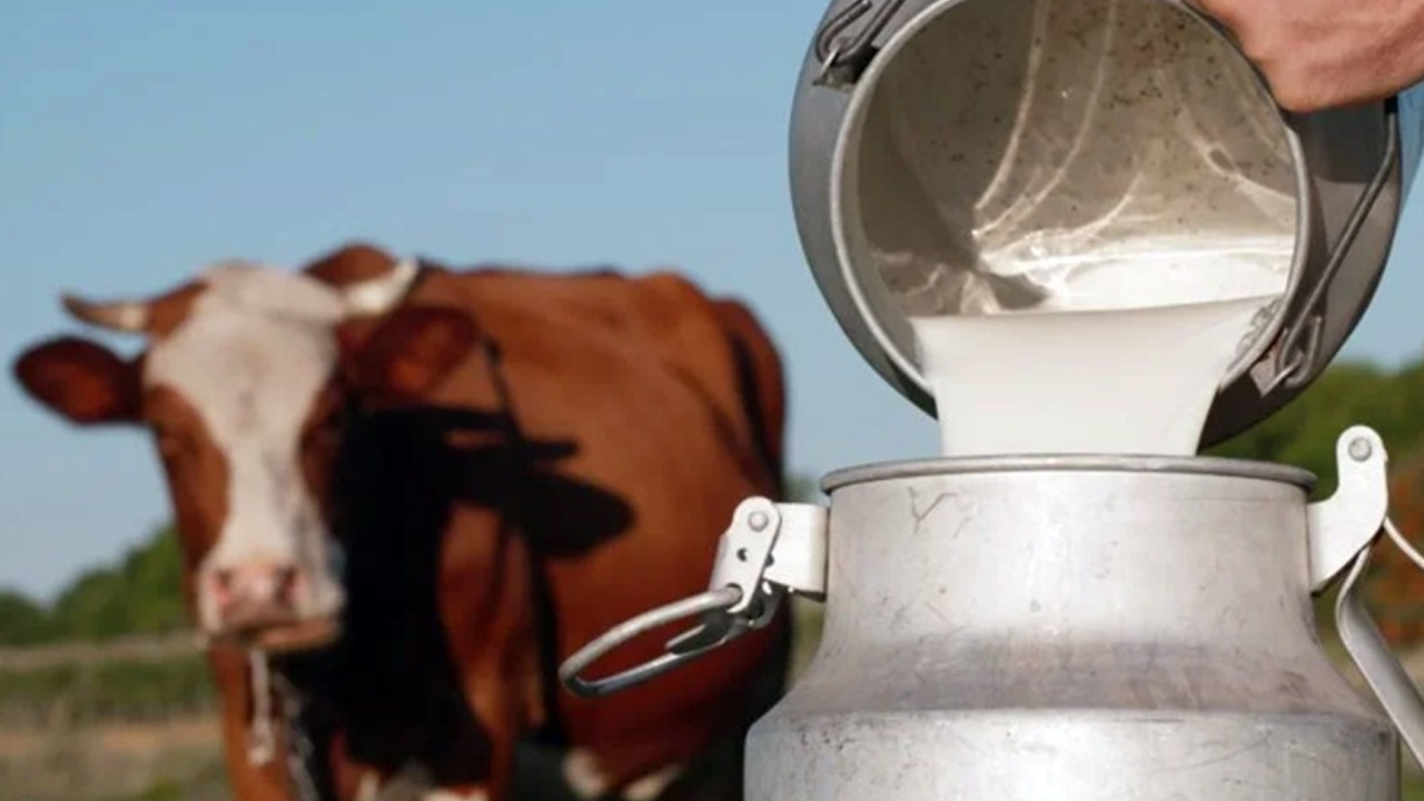 Çiğ süt fiyatında artış!