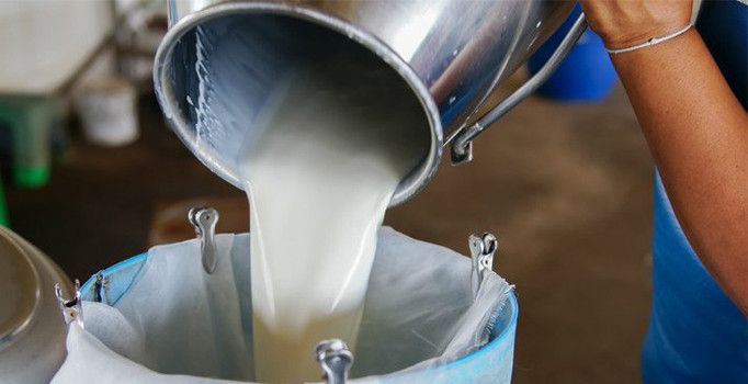 Çiğ süt fiyatları üreticinin yüzünü güldürdü