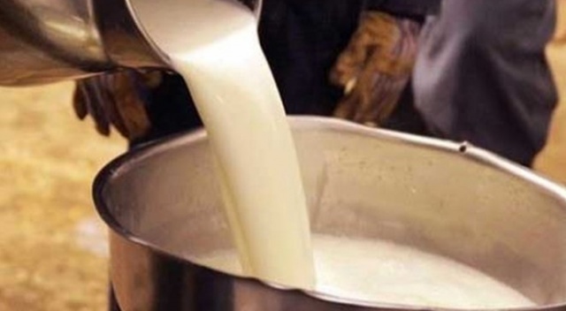 Çiğ sütü artık sertifikası olan toplayacak