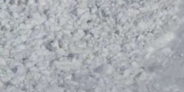 Çığ üzerinden zıplaya zıplaya geçen tavşan - VIDEO