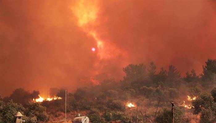 Ciğerlerimiz kül oldu... Son görüntüler durumu gözler önüne serdi