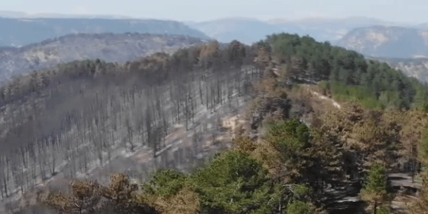 Ciğerlerimiz yandı... 72 saatin ardından yürek burkan görüntü