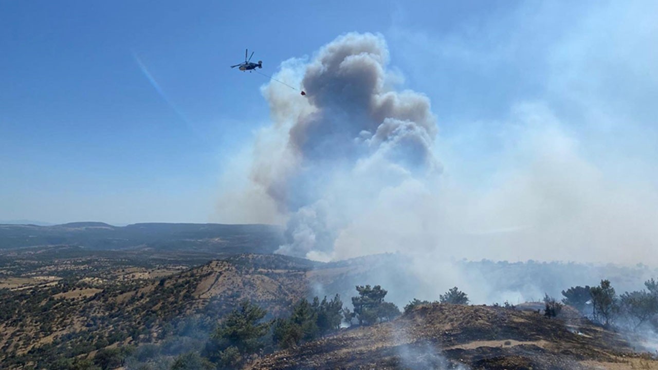 Ciğerlerimiz yanıyor! Orman yangınları yurdun dört bir yanını sardı