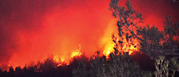 Ciğerlerimiz yandı