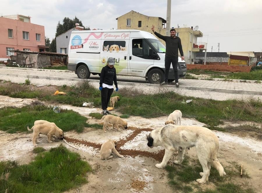 Çiğli Belediyesi sokak hayvanlarını unutmadı 