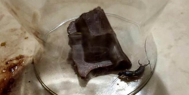 Çikolatadan çıktı, dilini soktu