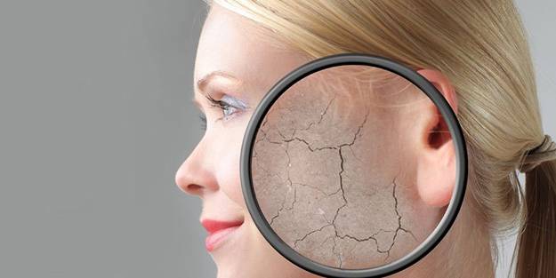 Cildin bariyerini güçlendirin