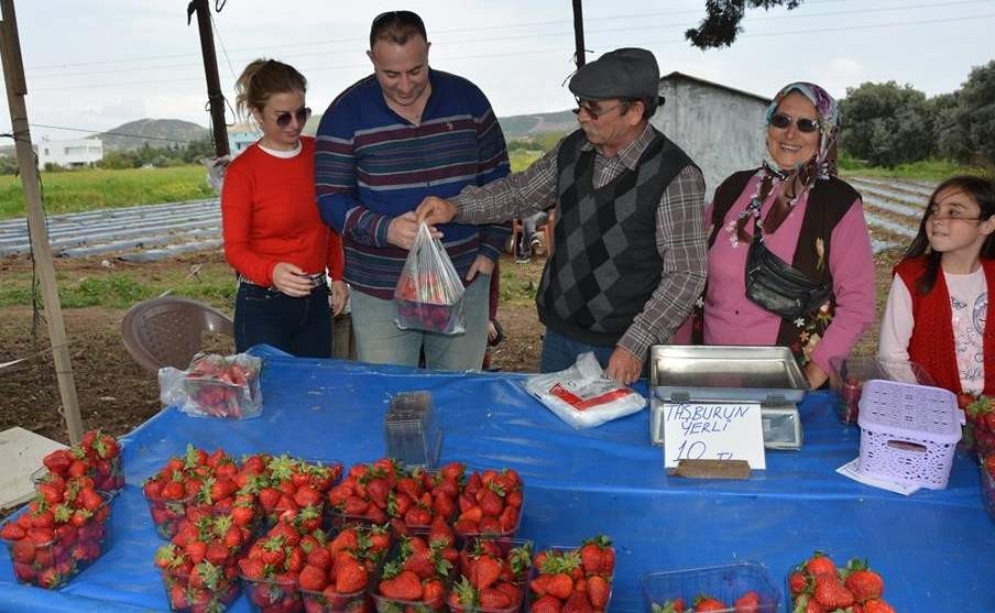 Çileği meslek edindi 