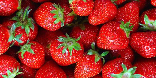 Çilek 572 liradan satılmaya başlandı! Hadi Sol medya bunu yazın