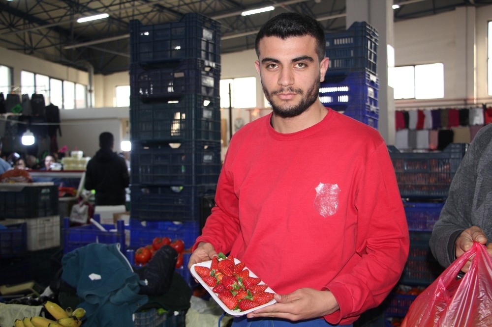 Çilek, kilosu 30 liradan pazara giriş yaptı 