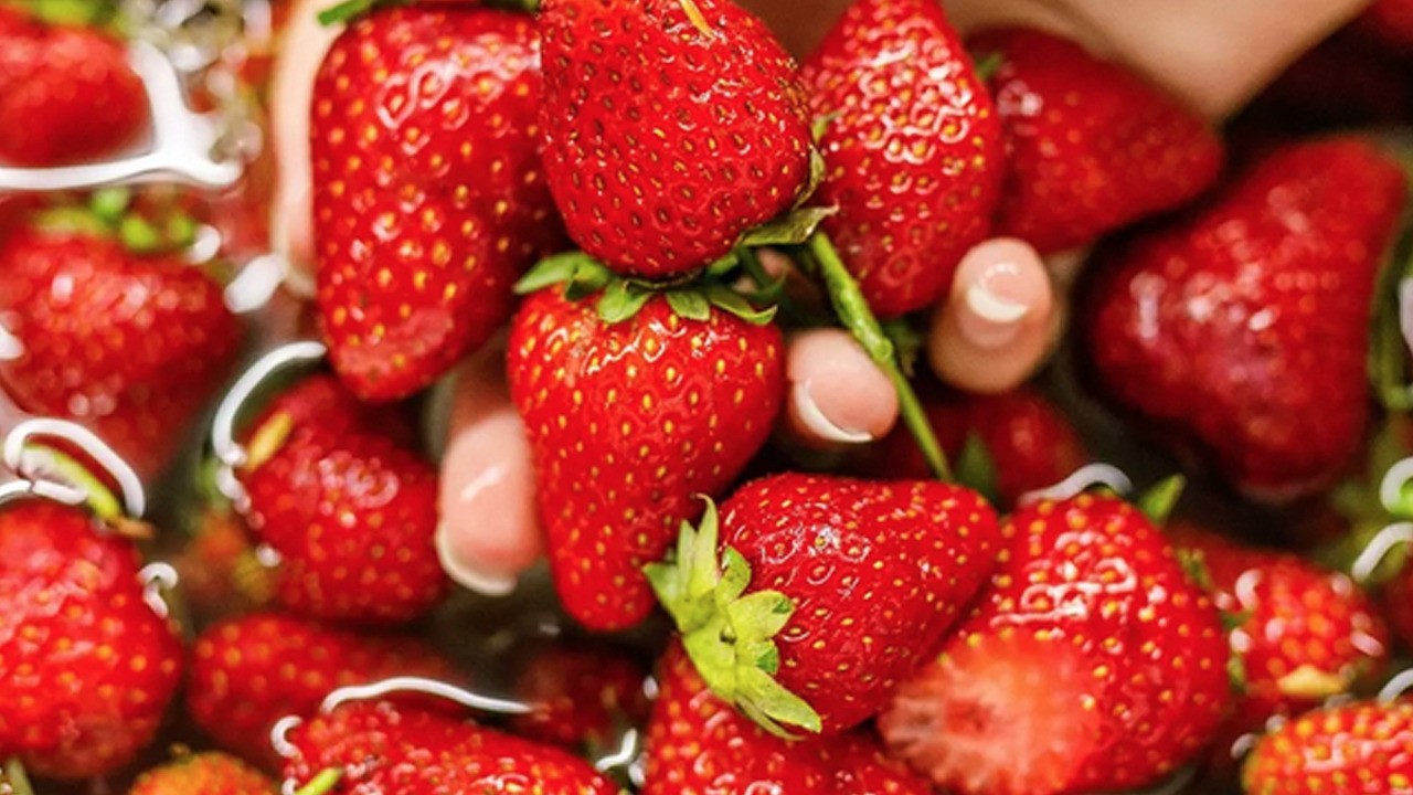 Çilek sezonu açıldı! Yaz meyvesi tezgaha düştü: İşte çilekteki böcekleri çıkaran yöntem