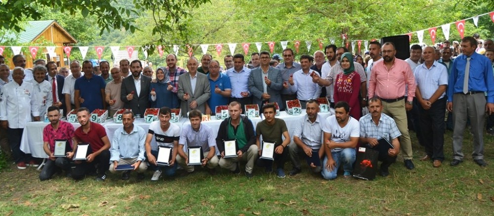 Çilek tadında festival 