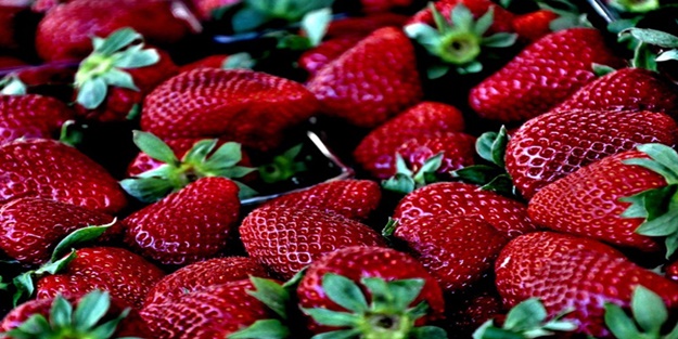 Çileksiz kalmayın! Çünkü...