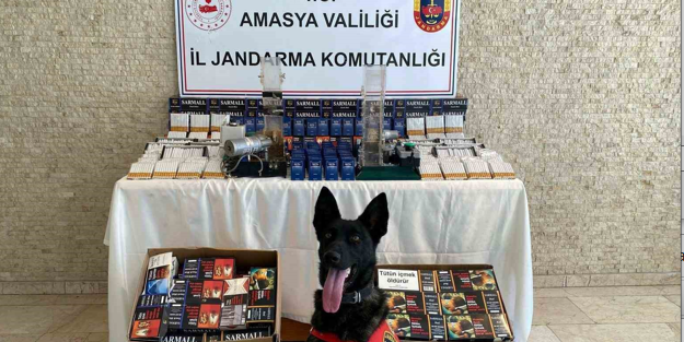 ‘Çilek’ten kaçak makarona geçit yok