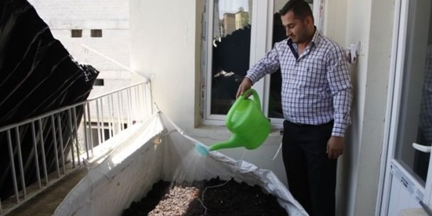 Çılgın girişimci balkonunda para basıyor