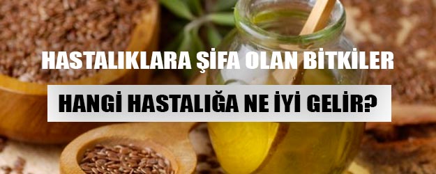 Şifalı bitkiler hangi hastalıklara iyi gelir?