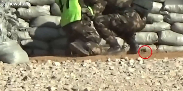 Askerleri dünyaya rezil oldu! El bombasını kendi ayağına attı