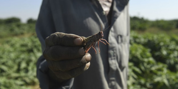 Çin Pakistan'daki istilaya karşı harekete geçti