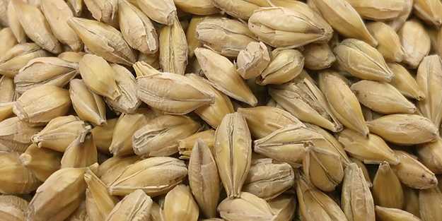 İki ülke arasında arpa krizi