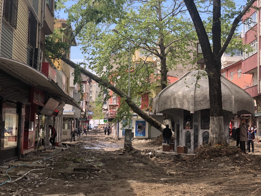 Çınar ağacı binanın üzerine yıkıldı 