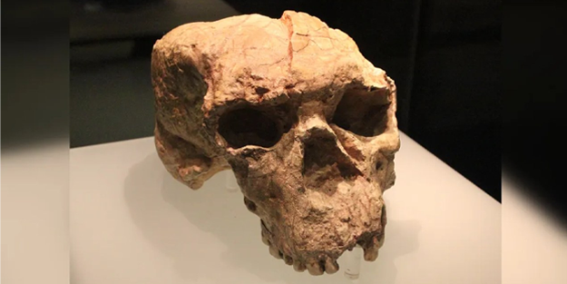 Çin'de bulunan 1 milyon yıllık insan kafatasına dair çarpıcı detaylar