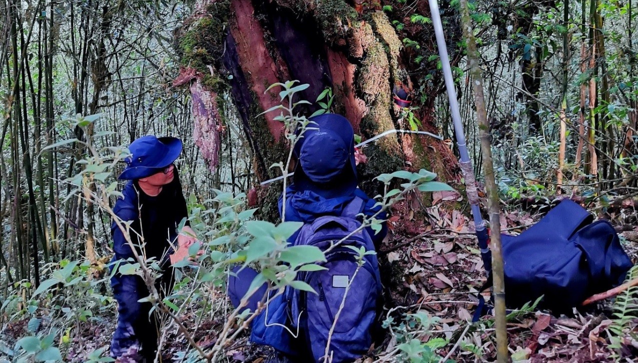 Çin’de bulundu! Tam 1000 yaşında