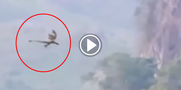 Çin'de ejderha görüntülendi!