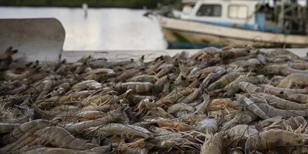 Çin'de koronavirüs şoku! Bakın nerede rastlandı