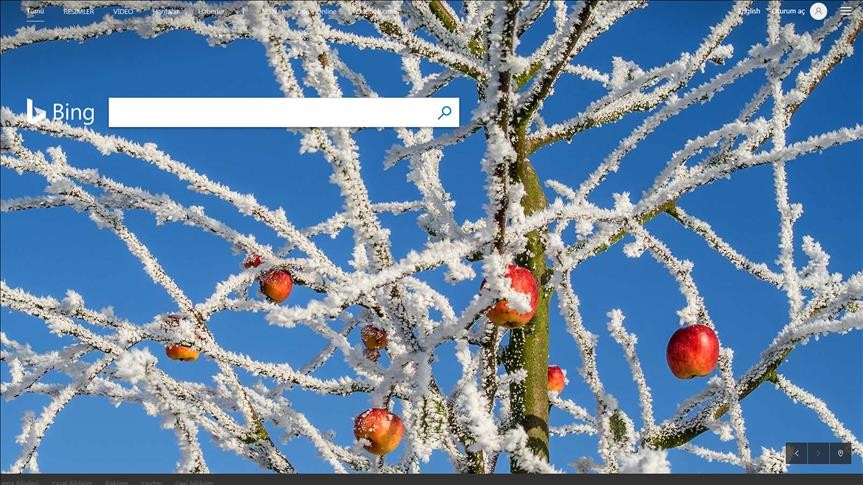 Çin'de Microsoft'un arama motoru Bing'e erişim sağlanamıyor