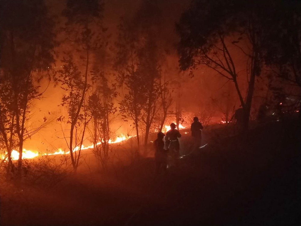 Çin’de orman yangınında itfaiye ekibi mahsur kaldı: 19 ölü 
