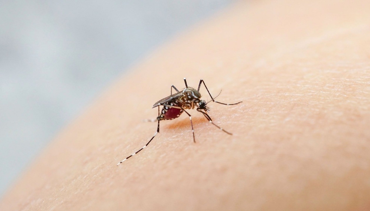 Çin’de ortaya çıkan yeni virüs için korkmalı mıyız?