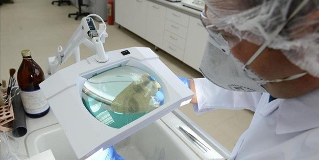 Çin'de yeni virüs türleri keşfedildi