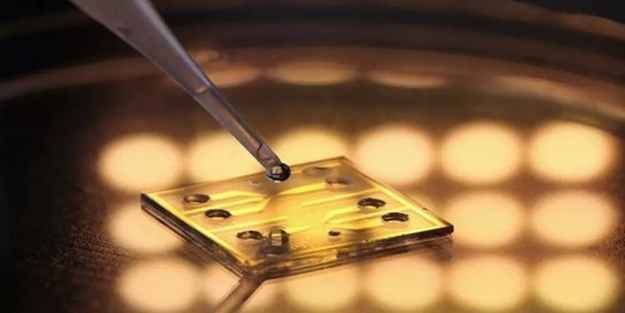 Fabrikalar kapatılıp üretime ara verilmişti! Dünyayı sevindiren haber Çin'den geldi