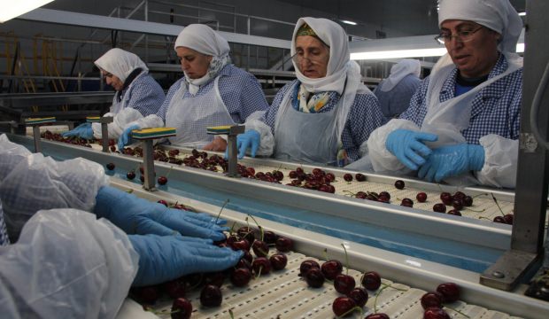 Çin'den sonra Tayvanlılar da geliyor